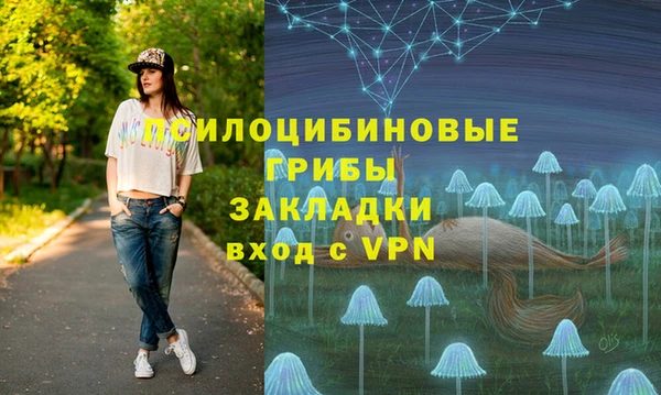 скорость Алексин