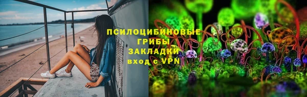 прущие грибы Алексеевка