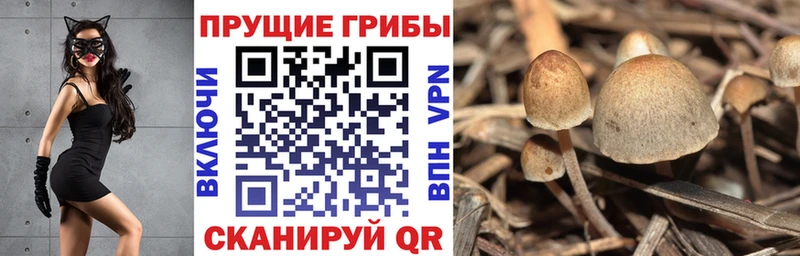Галлюциногенные грибы GOLDEN TEACHER  Тобольск 
